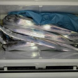 名田屋での洲本太刀魚釣り